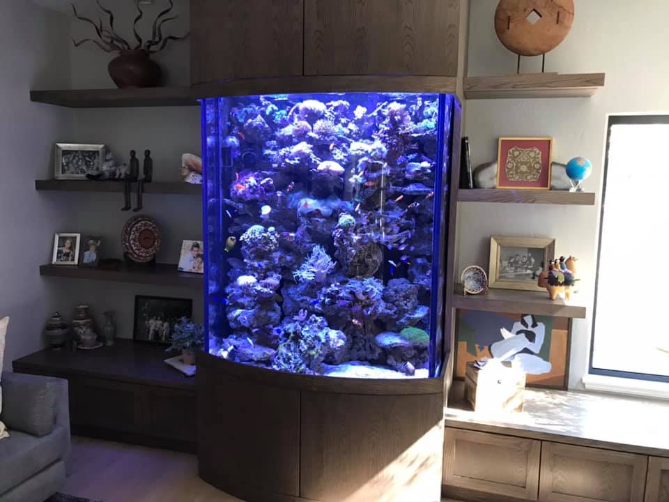 60" Tall Custom Live Rock Sculpture Tank